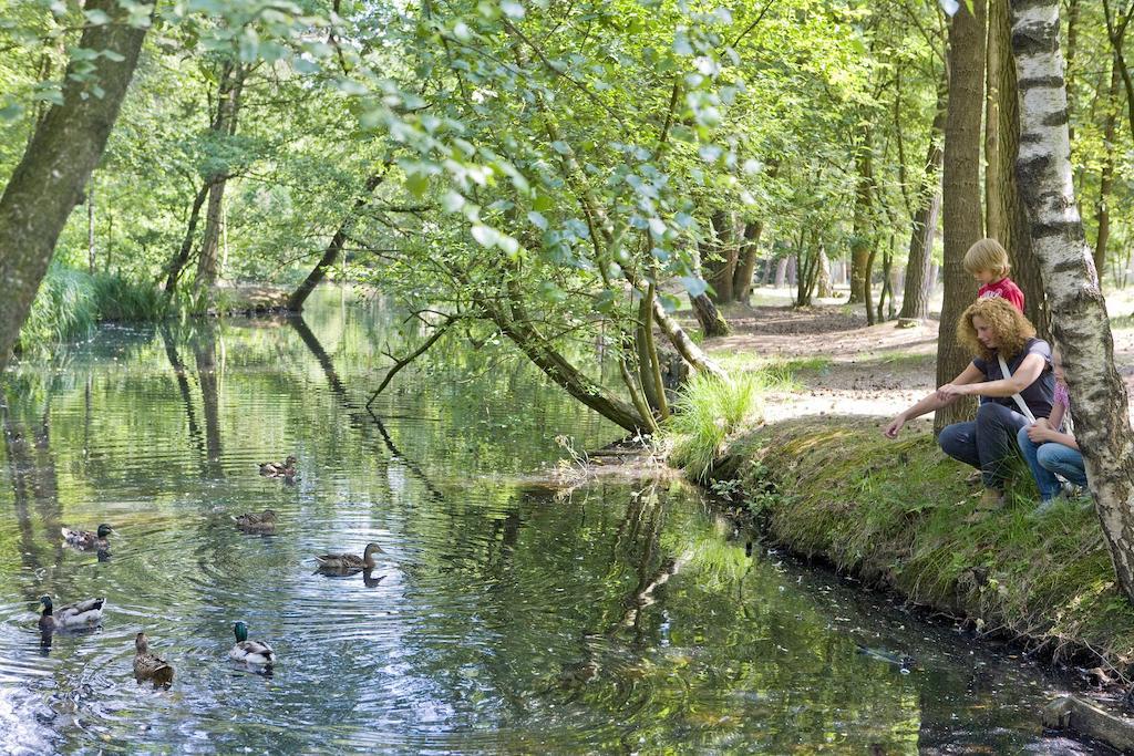 Center Parcs Meerdal Limburg-Brabant America Ngoại thất bức ảnh