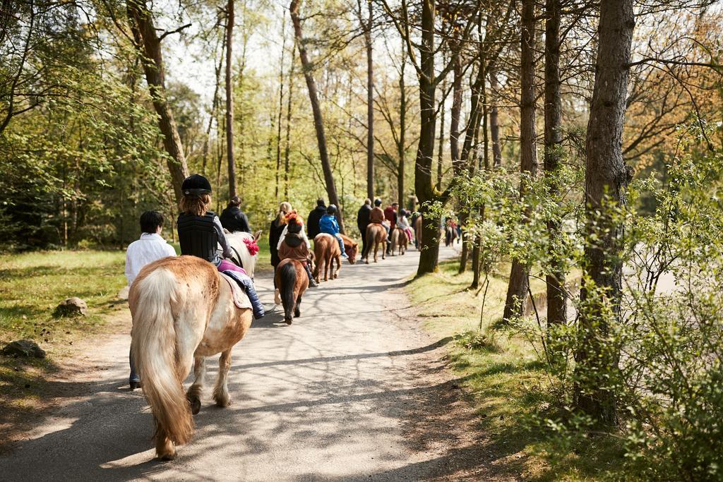 Center Parcs Meerdal Limburg-Brabant America Ngoại thất bức ảnh