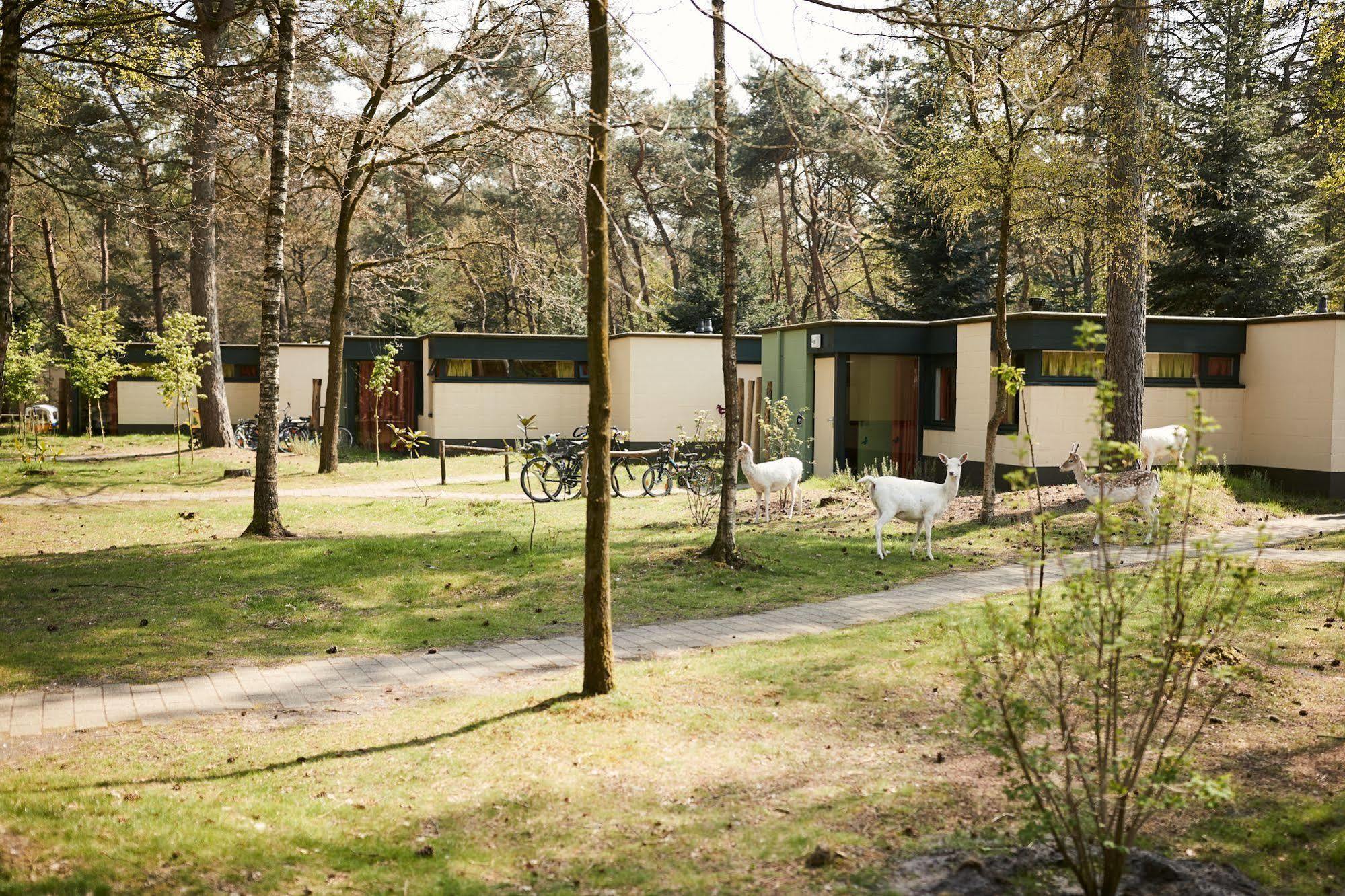 Center Parcs Meerdal Limburg-Brabant America Ngoại thất bức ảnh